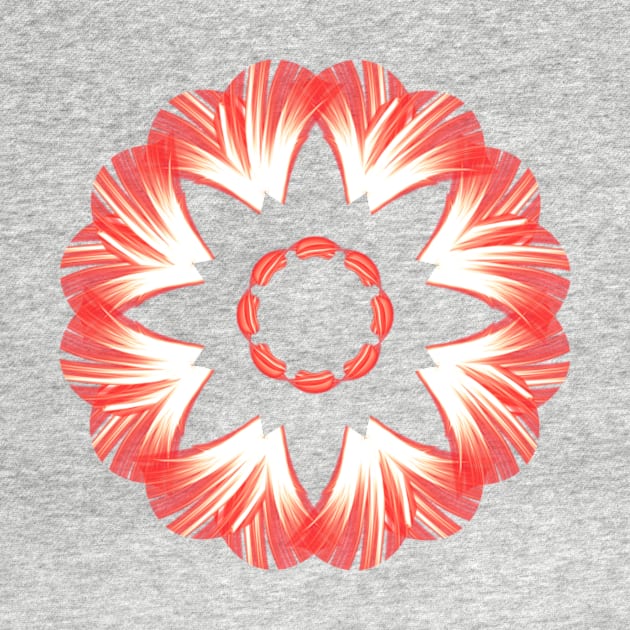 Red mandala by Meo Design